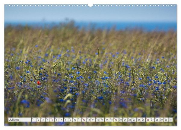 Produktbild: Feine Formen der Natur (hochwertiger Premium Wandkalender 2026 DIN A2 quer), Kunstdruck in Hochglanz