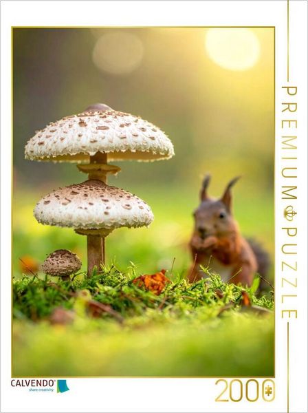 CALVENDO Puzzle Eichhörnchen und Parasolpilze auf der Wiese | 2000 Teile Lege-Größe 90x67cm Foto-Puzzle für glückliche Stunden