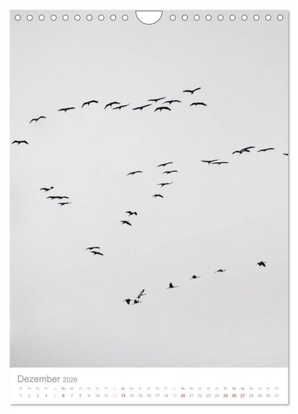 Produktbild: Der Flug der Kraniche (Wandkalender 2026 DIN A4 hoch), CALVENDO Monatskalender