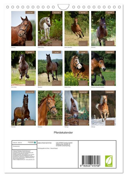 Produktbild: Pferdekalender (Wandkalender 2026 DIN A4 hoch), CALVENDO Monatskalender