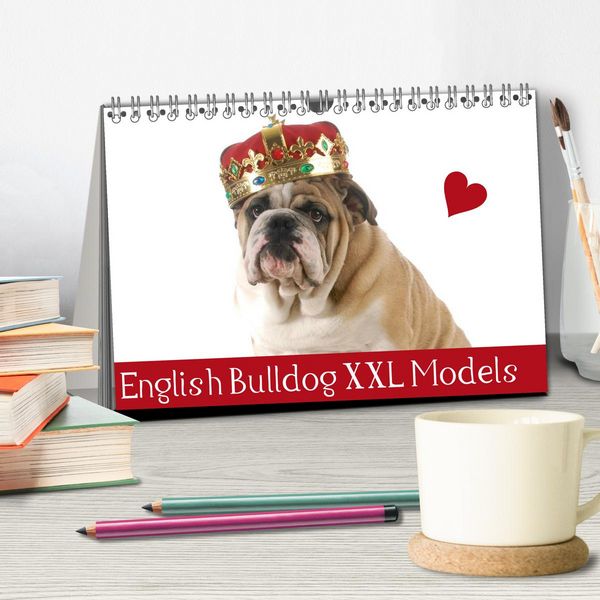 Produktbild: English Bulldog XXL Models (Tischkalender 2026 DIN A5 quer), CALVENDO Monatskalender