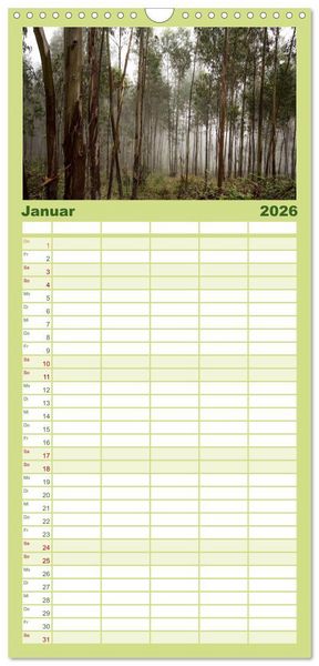 Produktbild: Familienplaner 2026 - Wald mit 5 Spalten (Wandkalender, 21 x 45 cm) CALVENDO