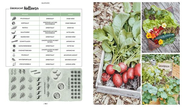 Produktbild: Mit dem Hochbeet durchs Jahr