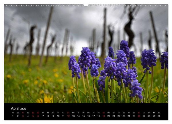 Produktbild: Baden-W&uuml;rttemberg Impressionen (Wandkalender 2026 DIN A2 quer), CALVENDO Monatskalender