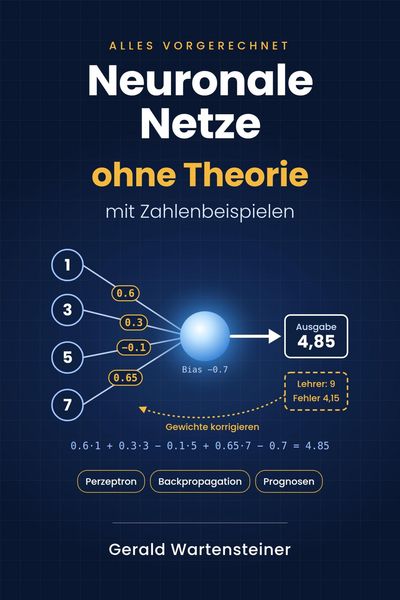 Produktbild: Neuronale Netze ohne Theorie