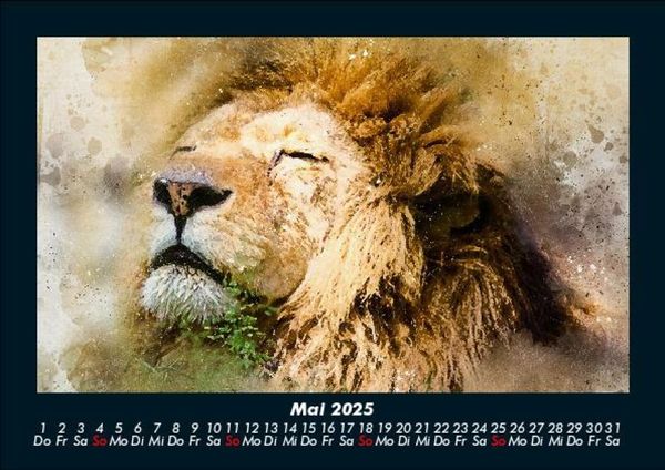Produktbild: Kunstkalender 2025 Fotokalender DIN A5