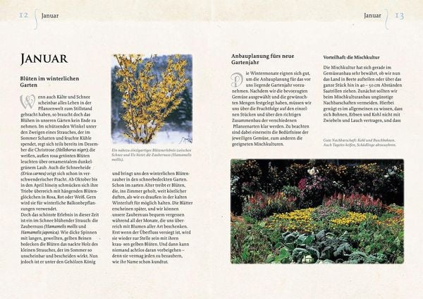 Produktbild: Geheimnisse aus dem Klostergarten