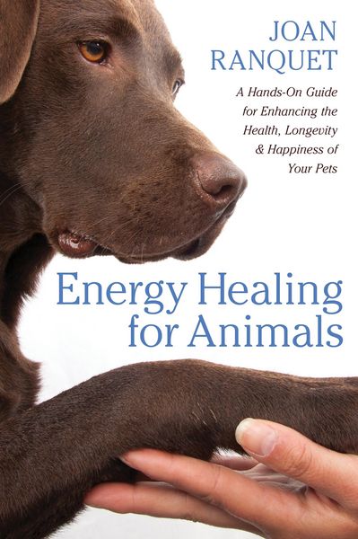 Produktbild: Energy Healing for Animals