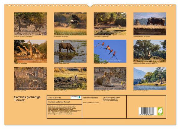 Produktbild: Sambias gro&szlig;artige Tierwelt (hochwertiger Premium Wandkalender 2026 DIN A2 quer), Kunstdruck in Hochglanz