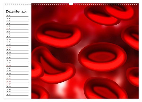 Produktbild: Mikrobiologie. Mikroorganismen, Genetik und Zellen (hochwertiger Premium Wandkalender 2026 DIN A2 quer), Kunstdruck in Hochglanz