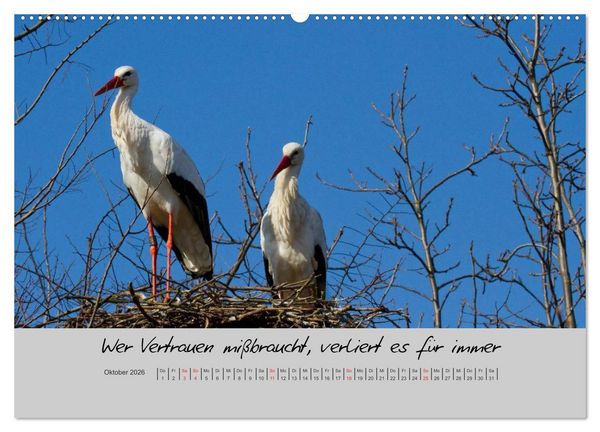 Produktbild: Kleine und gro&szlig;e Wahrheiten - Spr&uuml;che zum Nachdenken (hochwertiger Premium Wandkalender 2026 DIN A2 quer), Kunstdruck in Hochglanz