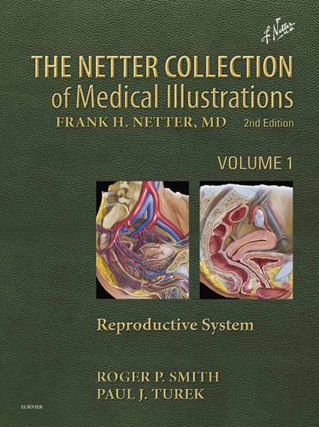 Produktbild: Netter Collection of Medical Illustrations: Reproductive System