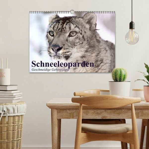 Produktbild: Schneeleoparden. Geschmeidige Gebirgsj&auml;ger (Wandkalender 2026 DIN A3 quer), CALVENDO Monatskalender