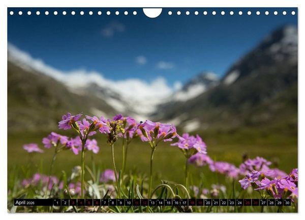 Produktbild: Nationalpark Gran Paradiso (Wandkalender 2026 DIN A4 quer), CALVENDO Monatskalender