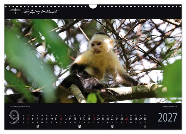 Produktbild: Costa Rica Blickwinkel 2027 (Wandkalender 2027 DIN A3 quer), CALVENDO Monatskalender