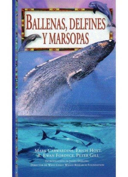 Produktbild: Ballenas, delfines y marsopas