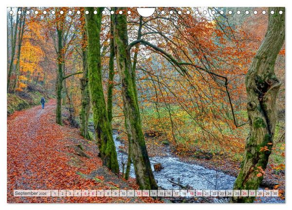 Produktbild: Idyllische Wanderwege im Bergischen Land (Wandkalender 2026 DIN A4 quer), CALVENDO Monatskalender