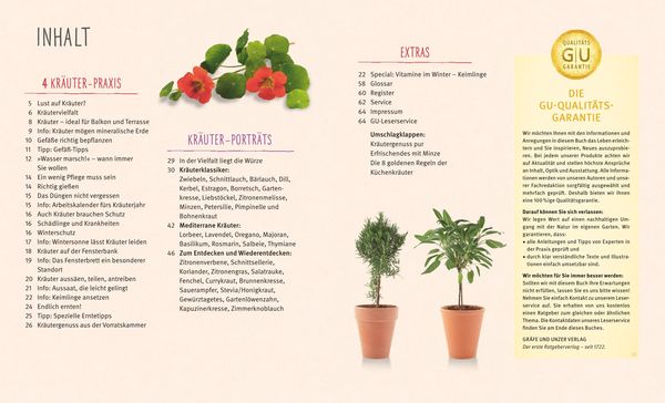 Produktbild: K&uuml;chenkr&auml;uter in T&ouml;pfen