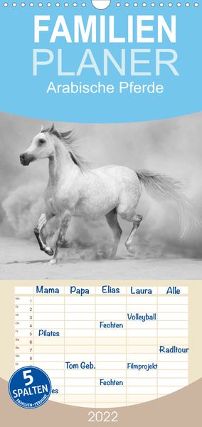 Produktbild: Familienplaner Arabische Pferde (Wandkalender 2022 , 21 cm x 45 cm, hoch)