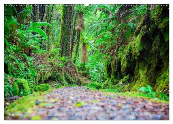 Produktbild: Traumhafte Wege - Unterwegs auf Neuseelands S&uuml;dinsel (Wandkalender 2026 DIN A2 quer), CALVENDO Monatskalender