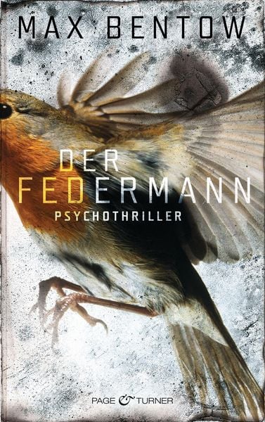 Der Federmann / Nils Trojan Bd.1