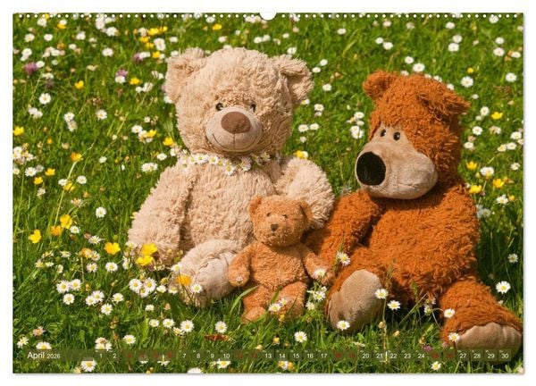 Produktbild: Kunterbunte B&auml;renwelt - Teddys (Wandkalender 2026 DIN A2 quer), CALVENDO Monatskalender