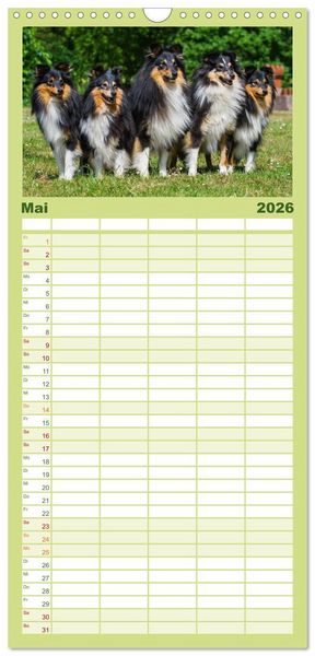 Produktbild: Familienplaner 2026 - Traumhund Sheltie mit 5 Spalten (Wandkalender, 21 x 45 cm) CALVENDO
