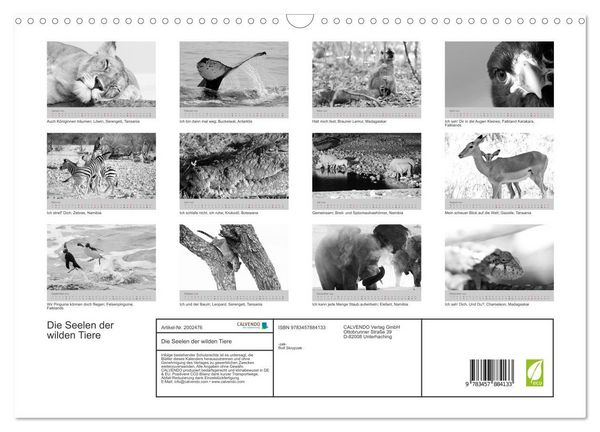 Produktbild: Die Seelen der wilden Tiere (Wandkalender 2026 DIN A3 quer), CALVENDO Monatskalender