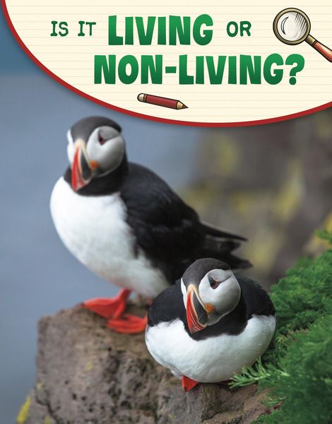 Produktbild: Is It Living or Non-living?