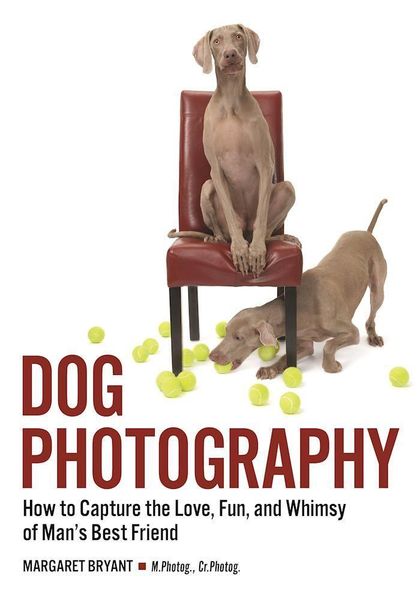 Produktbild: Dog Photography