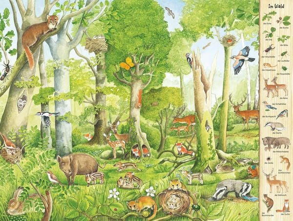 Produktbild: Riesen-Wimmelbuch: Das Riesen-Natur-Wimmelbuch