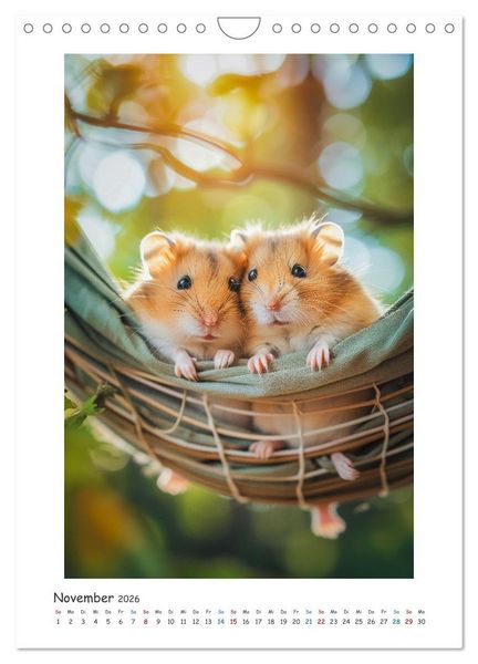 Produktbild: Lustige kleine Hamster (Wandkalender 2026 DIN A4 hoch), CALVENDO Monatskalender