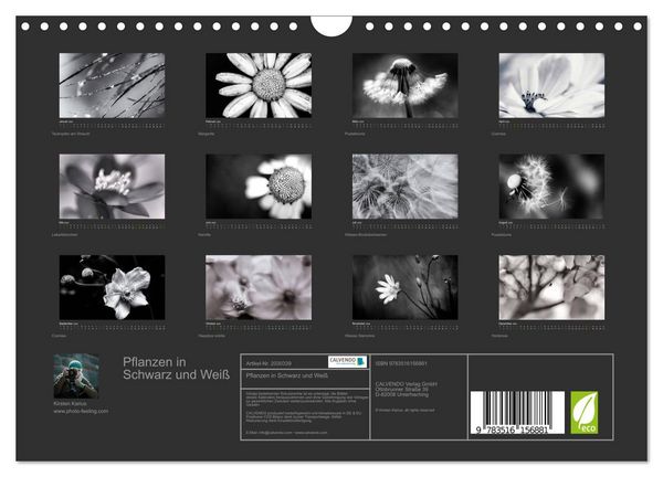 Produktbild: Pflanzen in Schwarz und Wei&szlig; (Wandkalender 2026 DIN A4 quer), CALVENDO Monatskalender