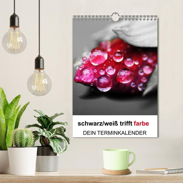 Produktbild: schwarz/wei&szlig; trifft farbe - DEIN TERMINKALENDER / Planer (Wandkalender 2026 DIN A4 hoch), CALVENDO Monatskalender