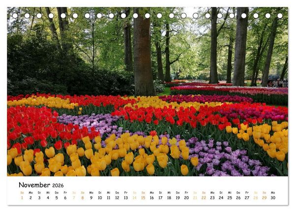Produktbild: Auf Tour im Land der Tulpen (Tischkalender 2026 DIN A5 quer), CALVENDO Monatskalender