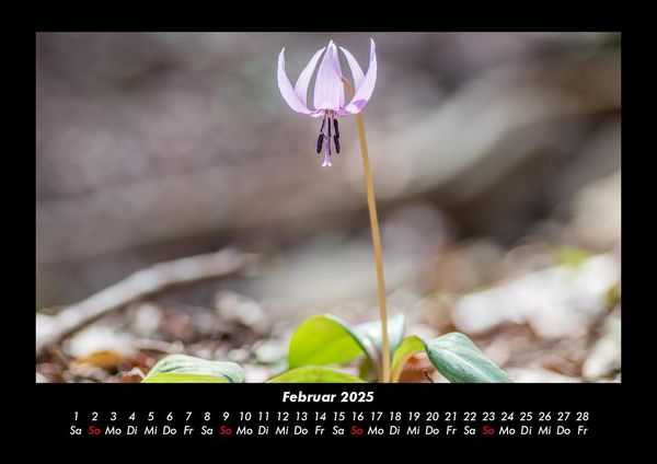Produktbild: Blumenzauber 2025 Fotokalender DIN A3