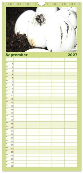 Produktbild: Familienplaner 2027 - Schlangen mit 5 Spalten (Wandkalender, 21 x 45 cm) CALVENDO