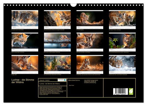 Produktbild: Luchse - die Stimme der Wildnis (Wandkalender 2026 DIN A3 quer), CALVENDO Monatskalender