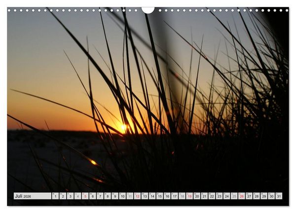 Produktbild: Amrum &ndash; Trauminsel in der Nordsee (Wandkalender 2026 DIN A3 quer), CALVENDO Monatskalender