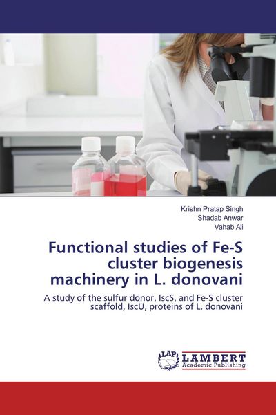 Produktbild: Functional studies of Fe-S cluster biogenesis machinery in L. donovani