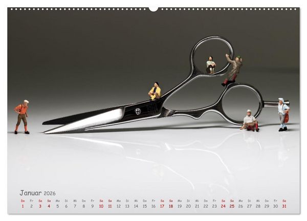 Produktbild: Hair-liche Zeiten (Wandkalender 2026 DIN A2 quer), CALVENDO Monatskalender