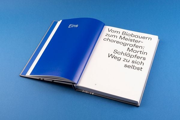 Produktbild: Mein Tanz, mein Leben
