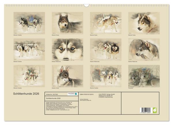 Produktbild: Schlittenhunde 2026 (Wandkalender 2026 DIN A2 quer), CALVENDO Monatskalender