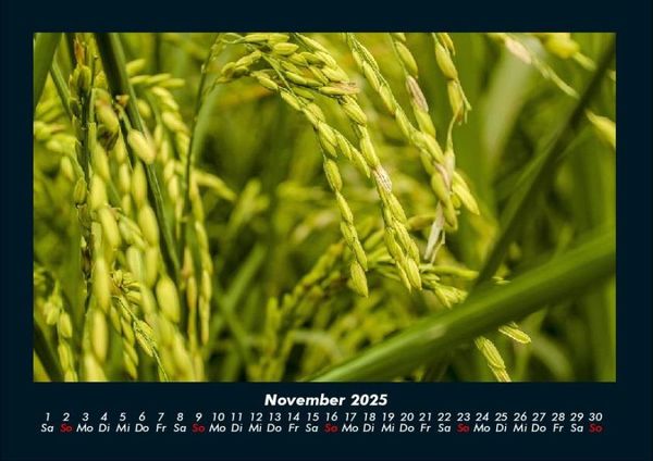 Produktbild: Bilder aus der Natur 2025 Fotokalender DIN A4