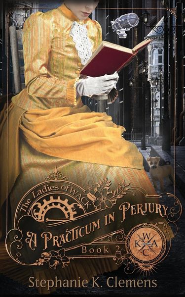 Produktbild: A Practicum in Perjury