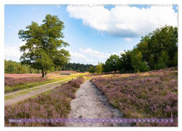 Produktbild: Im Bl&uuml;tenrausch der L&uuml;neburger Heide (Wandkalender 2026 DIN A2 quer), CALVENDO Monatskalender