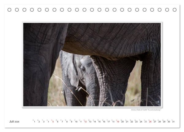 Produktbild: Emotionale Momente: Aus dem Leben der Elefanten. / CH-Version (Tischkalender 2026 DIN A5 quer), CALVENDO Monatskalender