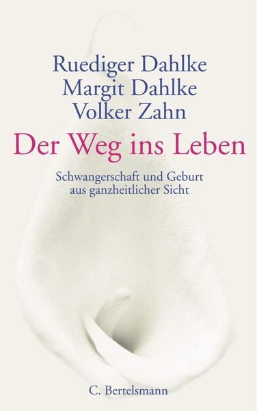 Produktbild: Der Weg ins Leben
