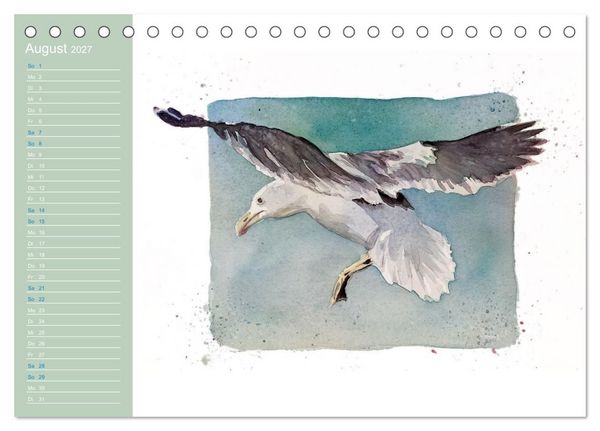 Produktbild: M&ouml;wen - Aquarelle von Julia Pasinski (Tischkalender 2027 DIN A5 quer), CALVENDO Monatskalender