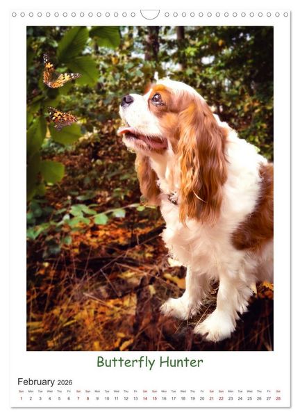 Produktbild: The Adventurous Life of two Daring Cavaliers (Wall Calendar 2026 DIN A3 portrait), CALVENDO 12 Month Wall Calendar